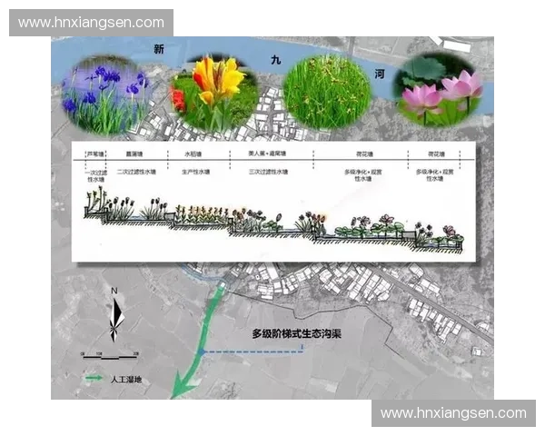 构建以运动生态为核心的全民健康协同发展策略与实践探索路径研究