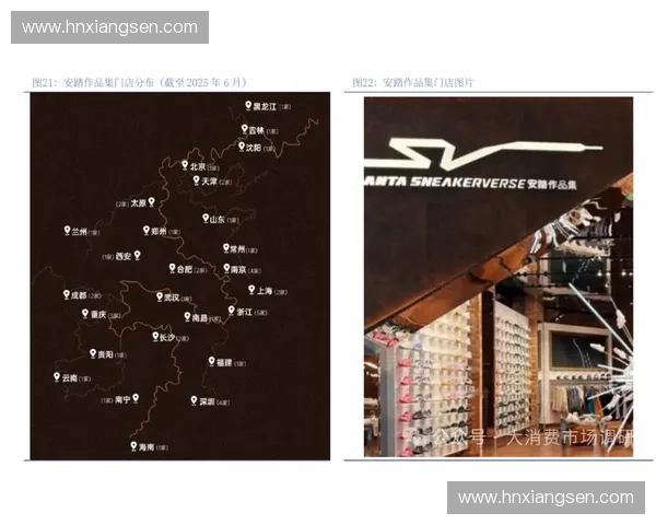 体育品牌全球化布局与海外市场运营策略研究 体育品牌全球化布局与海外市场运营策略研究