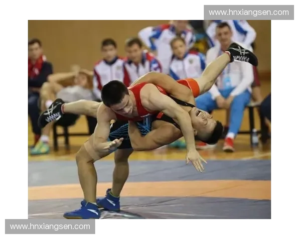 体育合作与文化互鉴:推动全球跨境交流新格局探索 体育合作与文化互鉴:推动全球跨境交流新格局探索